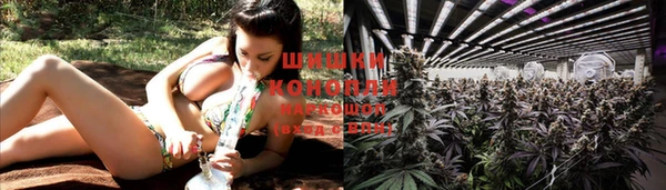 a pvp Кодинск
