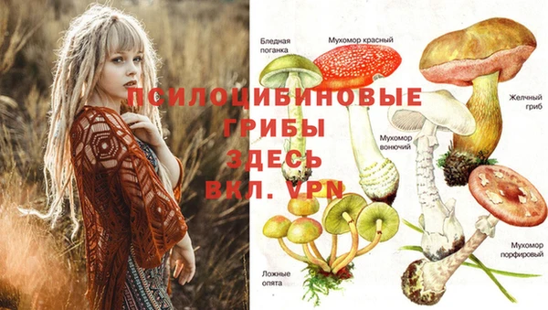 mdma Козловка