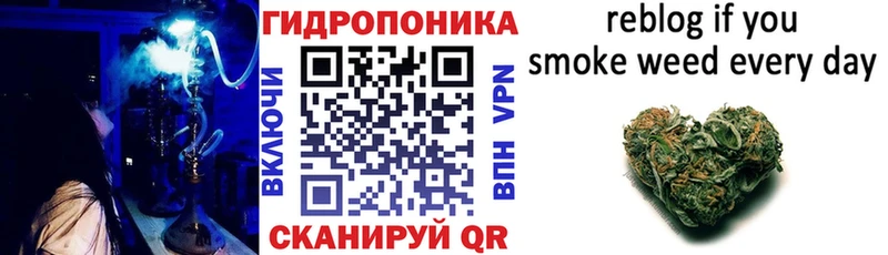 где можно купить   Торопец  Бошки марихуана конопля 